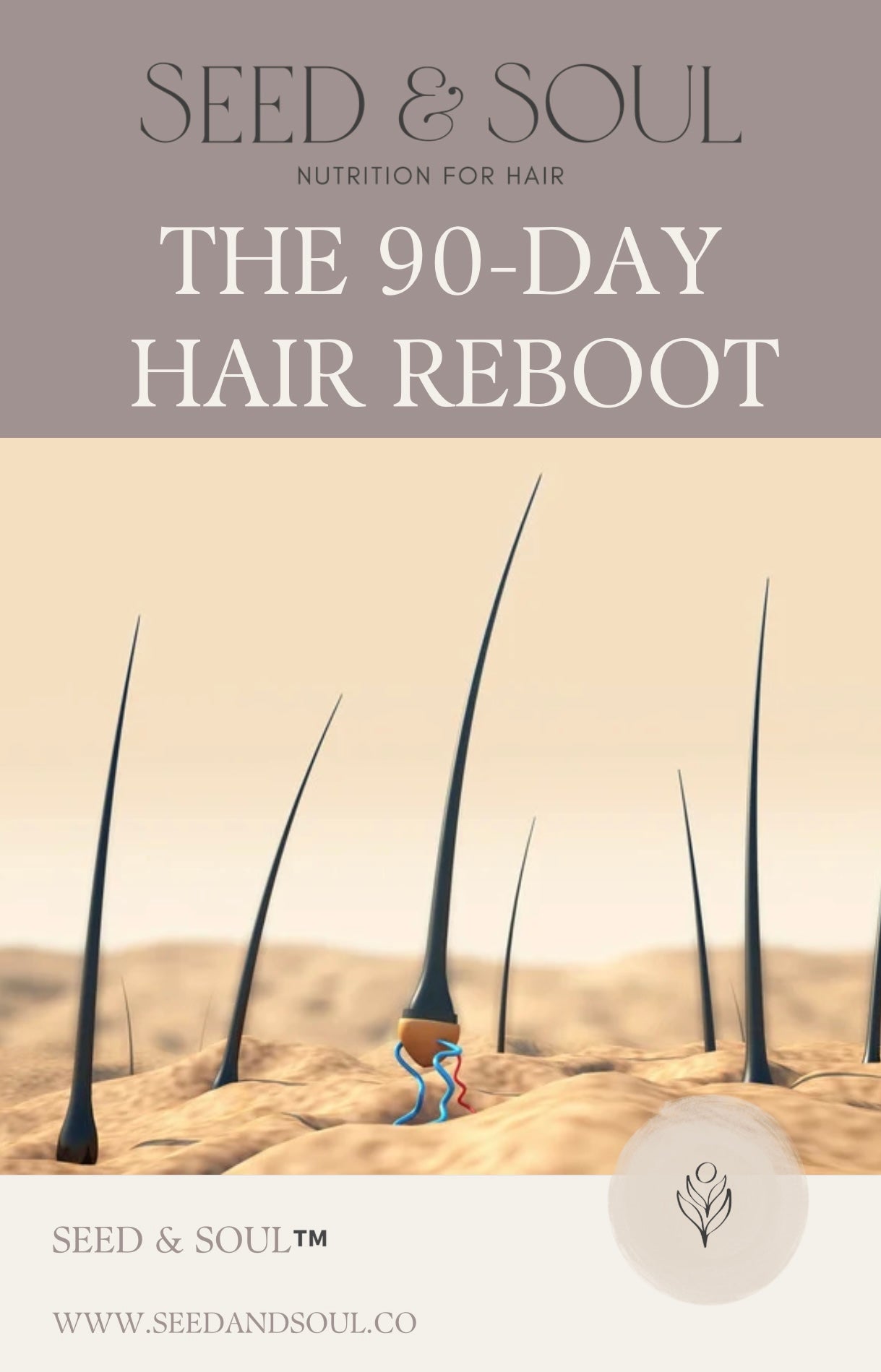 The 90-Day Hair Reboot Guide (Digital Download)